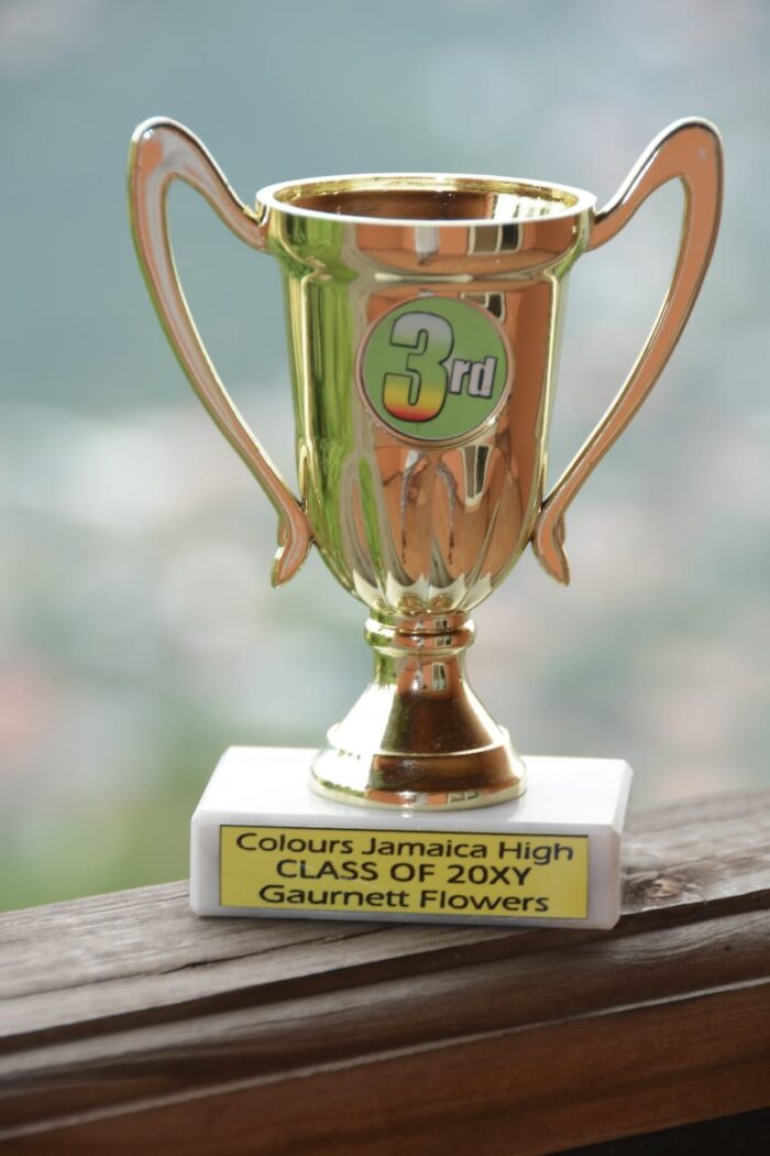 Colours Jamaica Print Product categories Trophies & Awards