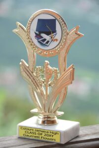 WhatsApp Image 2025-05-05 at 6.16.23 AM (2)