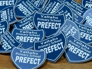 WhatsApp Image 2025-08-13 at 2.26.10 PM (4)