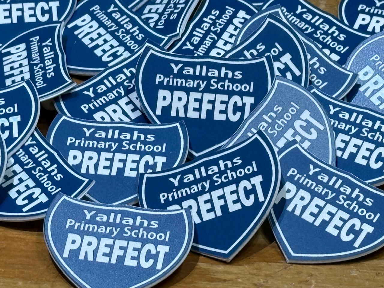 WhatsApp Image 2025-08-13 at 2.26.10 PM (4)