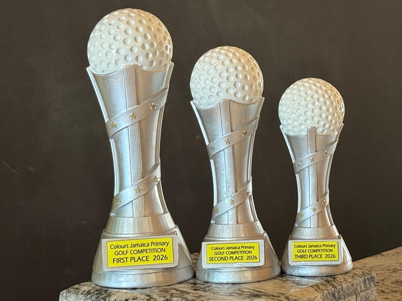 WhatsApp Image 2025-08-28 at 3.31.34 PM (13)