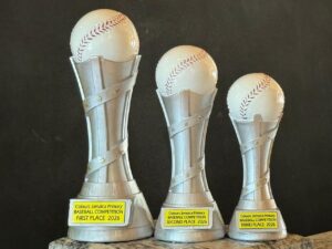 WhatsApp Image 2025-08-28 at 3.31.35 PM (3)