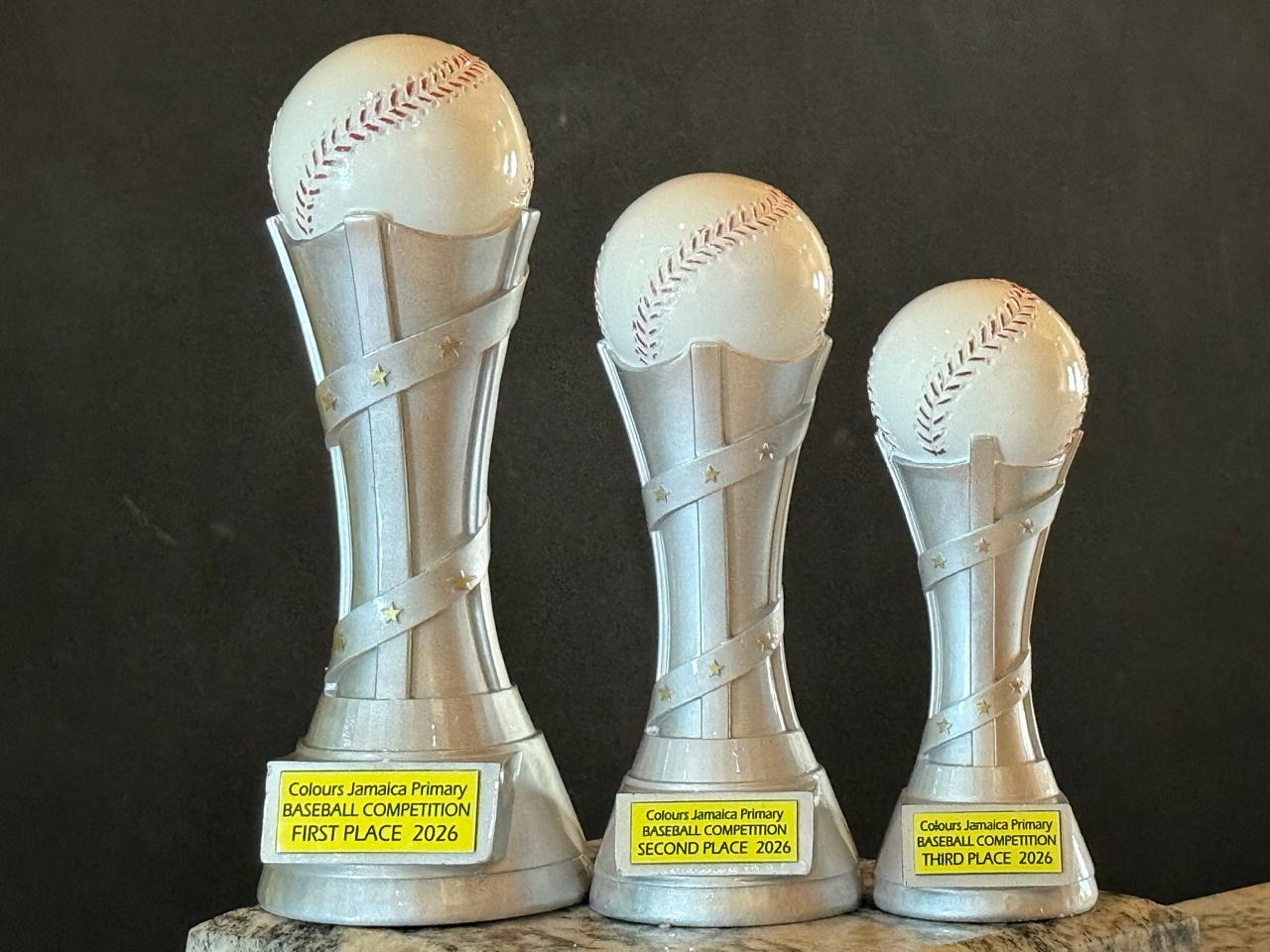 WhatsApp Image 2025-08-28 at 3.31.35 PM (3)