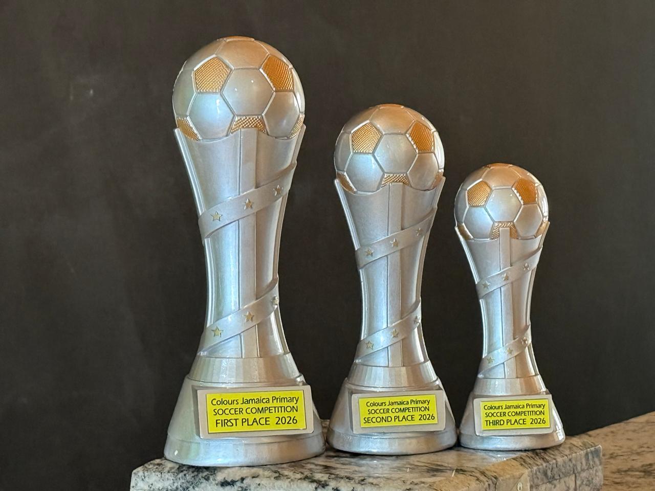 WhatsApp Image 2025-08-28 at 3.32.16 PM (7)