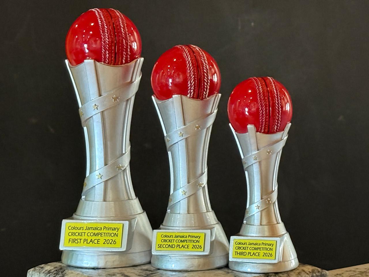 WhatsApp Image 2025-08-28 at 3.32.16 PM